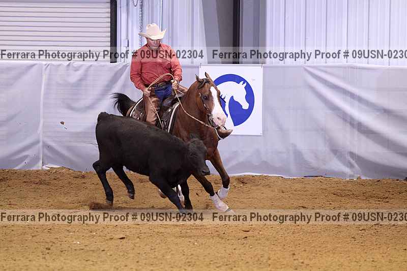 Proof 09usn-02304