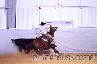 09usn-02306 proof