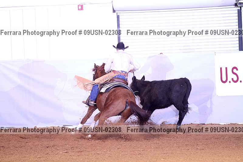 Proof 09usn-02308