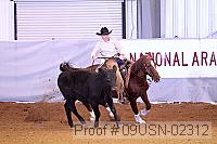 09usn-02312 proof