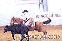 09usn-02313 proof