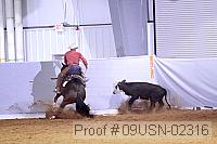 09usn-02316 proof