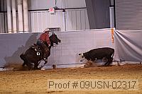 09usn-02317 proof