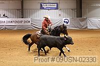 09usn-02330 proof