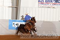 09usn-03813 proof