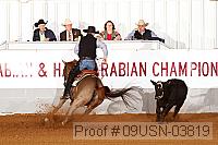 09usn-03819 proof