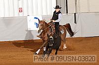 09usn-03820 proof