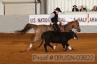 09usn-03822 proof