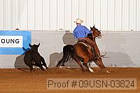 09usn-03824 proof