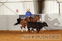 09usn-03826 proof