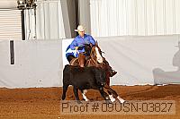 09usn-03827 proof