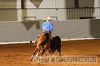 09usn-03828 proof