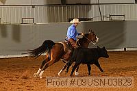 09usn-03829 proof