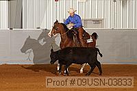 09usn-03833 proof