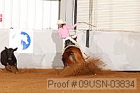 09usn-03834 proof