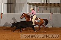 09usn-03838 proof