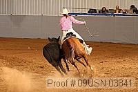 09usn-03841 proof