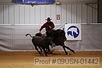 09usn-01442 proof