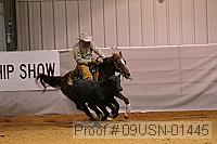 09usn-01445 proof