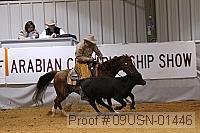 09usn-01446 proof