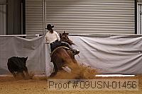 09usn-01456 proof
