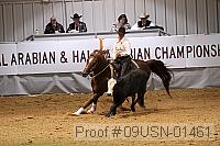 09usn-01461 proof