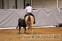 09usn-01466 proof