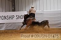09usn-01475 proof