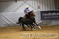 09usn-01481 proof