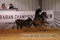 09usn-01482 proof