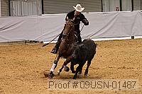 09usn-01487 proof