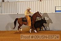 09usn-03724 proof