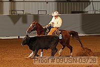 09usn-03728 proof