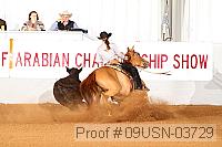 09usn-03729 proof