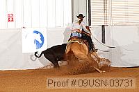 09usn-03731 proof