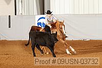 09usn-03732 proof