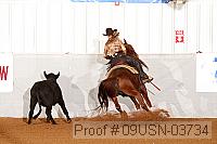 09usn-03734 proof