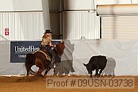 09usn-03738 proof