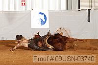 09usn-03740 proof