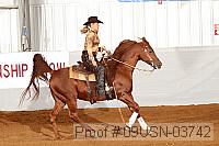 09usn-03742 proof