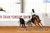 09usn-03744 proof