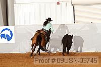 09usn-03745 proof