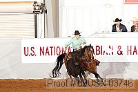 09usn-03746 proof