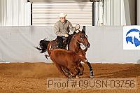 09usn-03756 proof
