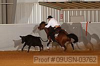 09usn-03762 proof