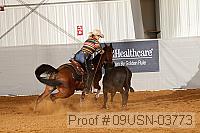 09usn-03773 proof