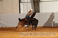 09usn-03775 proof