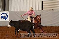 09usn-06528 proof