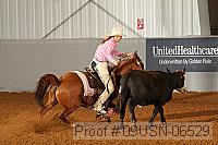 09usn-06529 proof