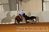 09usn-06536 proof